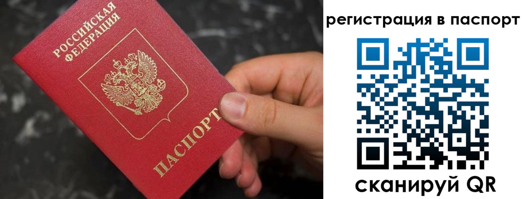 прописка для работы в Александровске